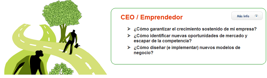 CEO Emprendedor