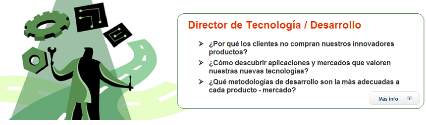 Director Tecnología Desarrollo Ingeniería