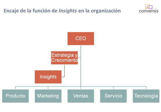 Encaje de la función de Insights en la organización